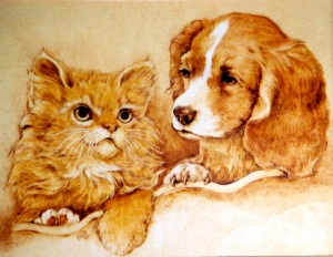 Cat and dog image